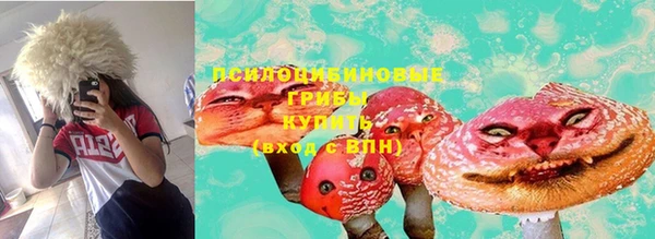 прущая мука Белокуриха